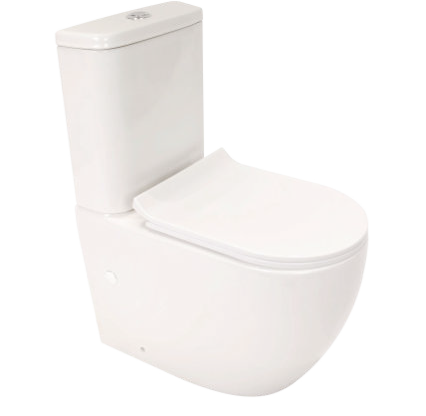 Standard Toilet