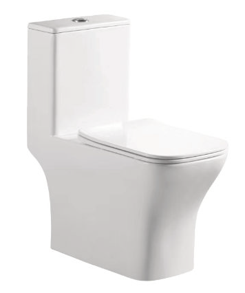 Standard Toilet