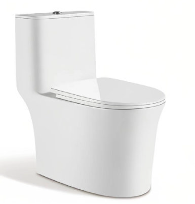 Standard Toilet