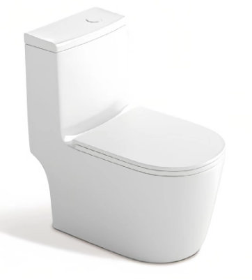 Standard Toilet