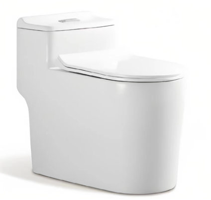 Standard Toilet