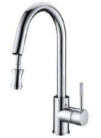 Kitchen Faucet