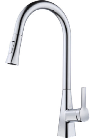 Kitchen Faucet