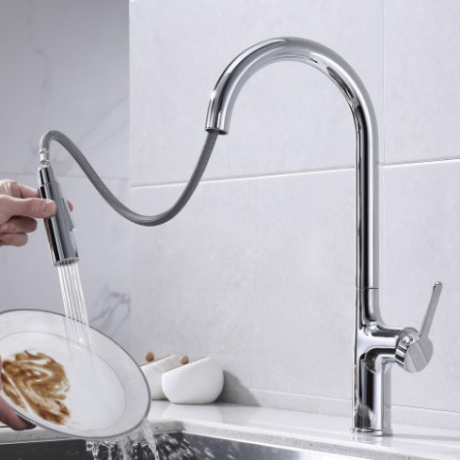 Kitchen Faucet