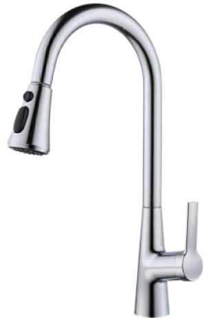 Kitchen Faucet