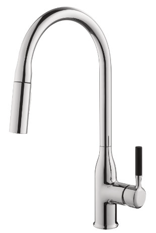 Kitchen Faucet